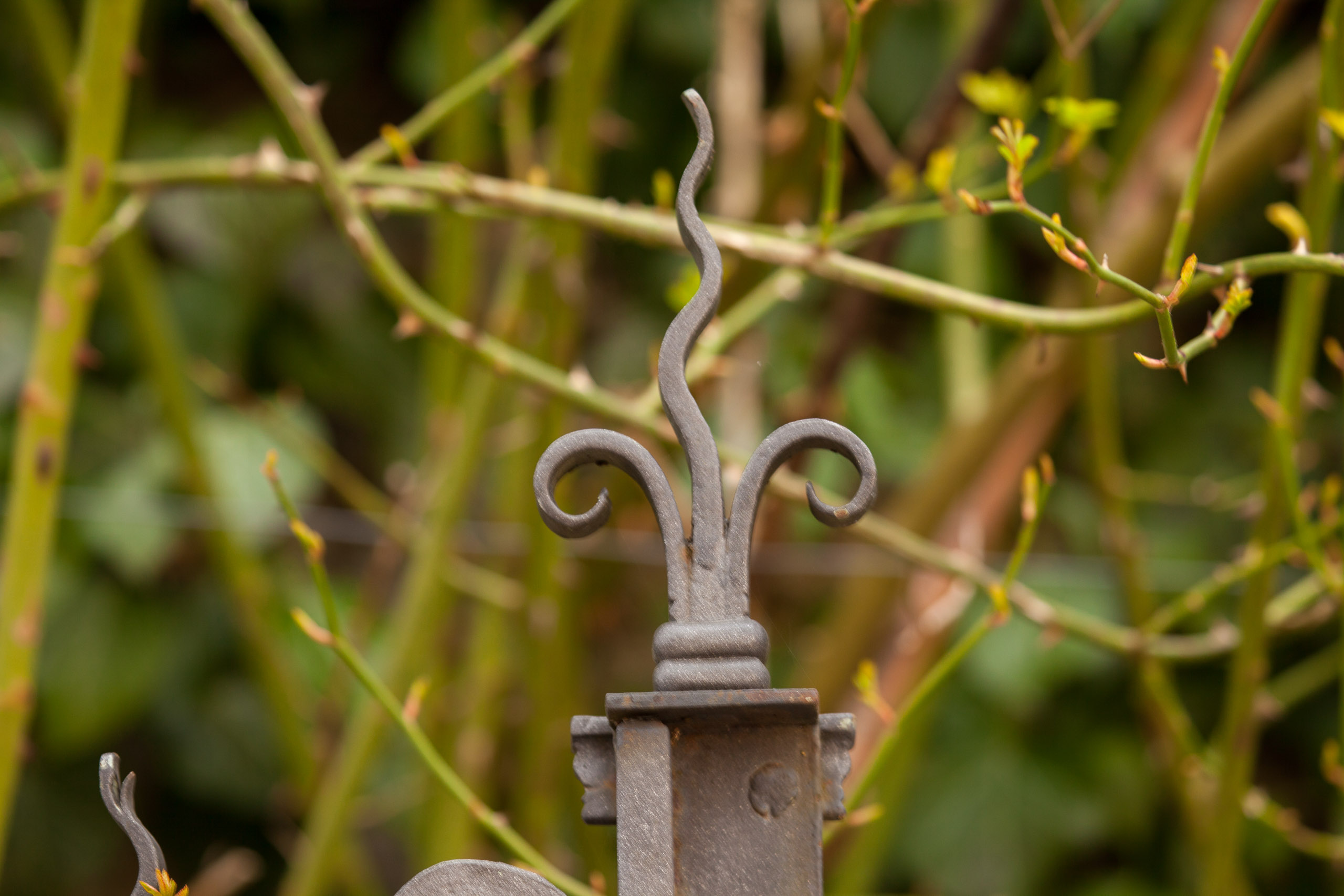 20110313133739 IMG 7278